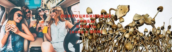 прущая мука Михайлов