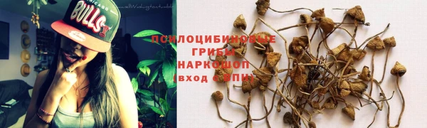 Альфа ПВП Михайловск