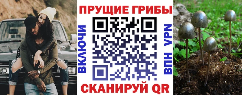 Псилоцибиновые грибы прущие грибы  Купить  Цоци-Юрт 